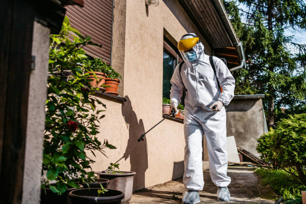 Reliable Floral Park, NY Pest Control Solutions