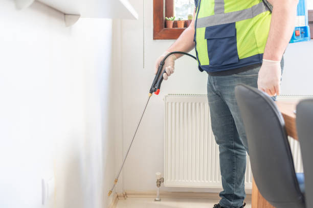 Best Termite Control Services  in Floral Park, NY