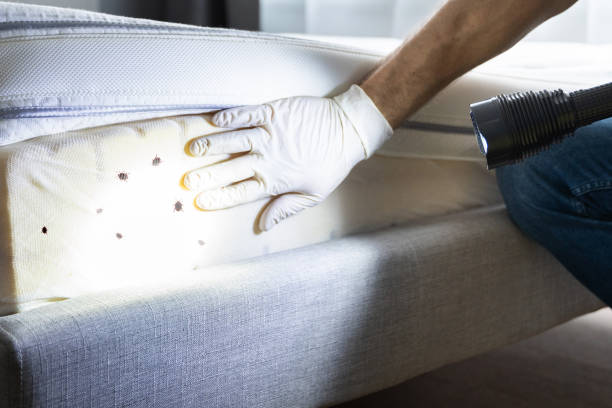 Best Pest Removal Services  in Floral Park, NY