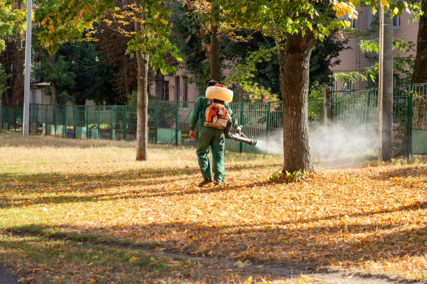 Best Commercial Pest Control Services  in Floral Park, NY