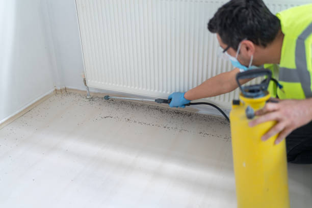 Best Wildlife Control Services  in Floral Park, NY