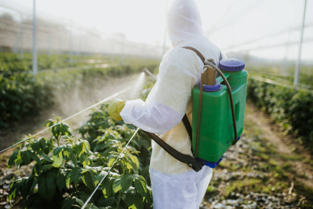 Best Best Pest Control Companies  in Floral Park, NY